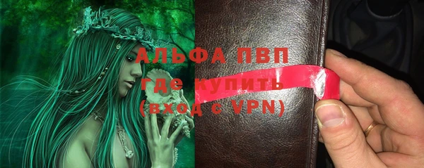 дмт Иннополис
