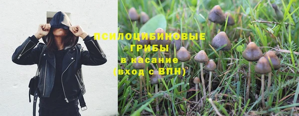 MDMA Инсар