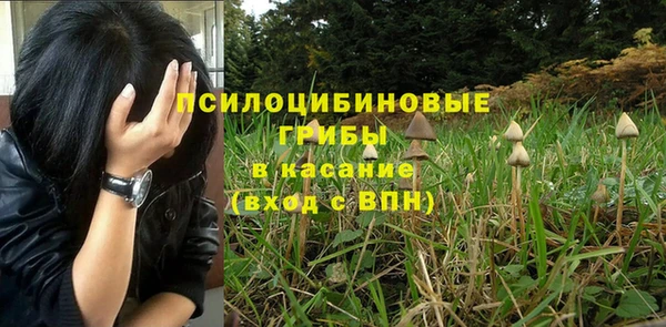 дмт Иннополис