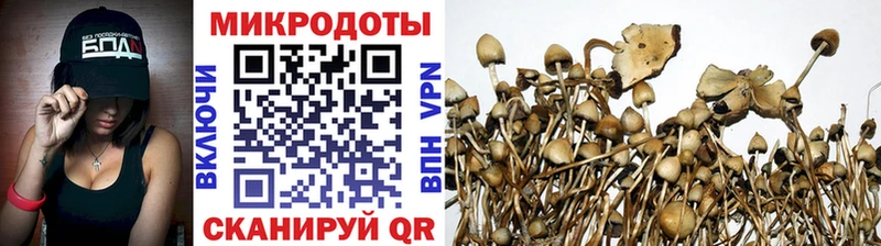 Галлюциногенные грибы Psilocybe  Купить где  Спас-Клепики 